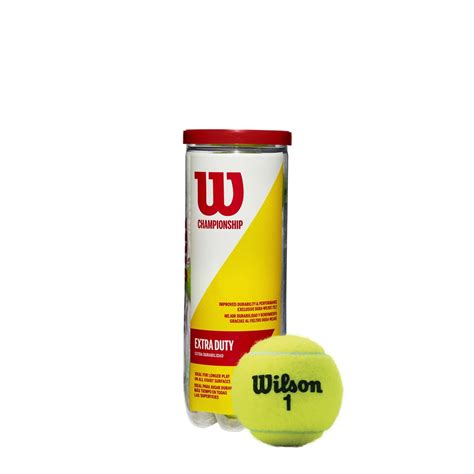 wilson tennis balls extra duty.